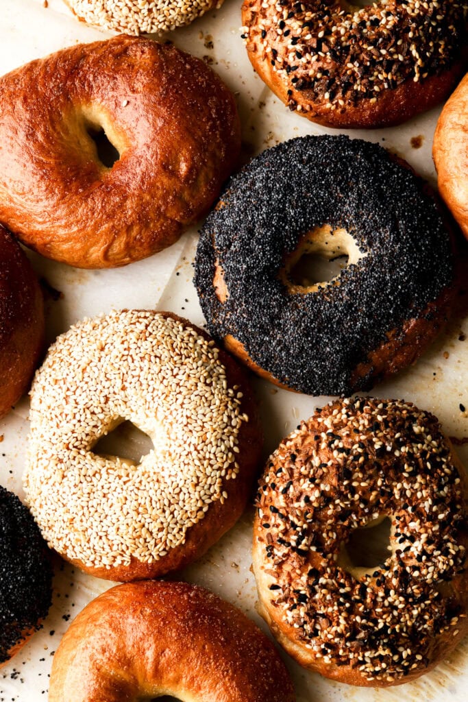 homemade bagels topped with different seasonings
