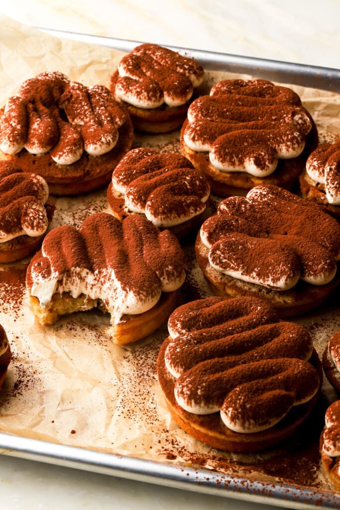 tiramisu donuts dusted with cocoa powder