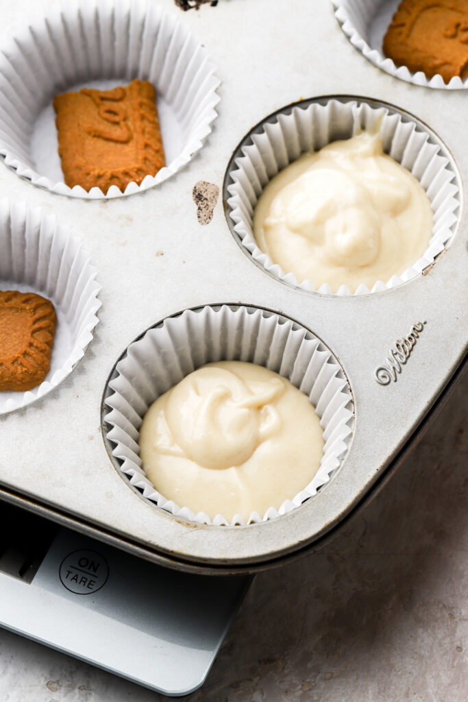 vanilla cupcake batter on top of biscoff cookie