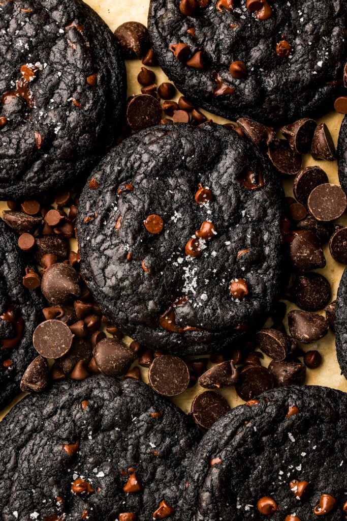 close up of chocolate chip black cocoa cookie 