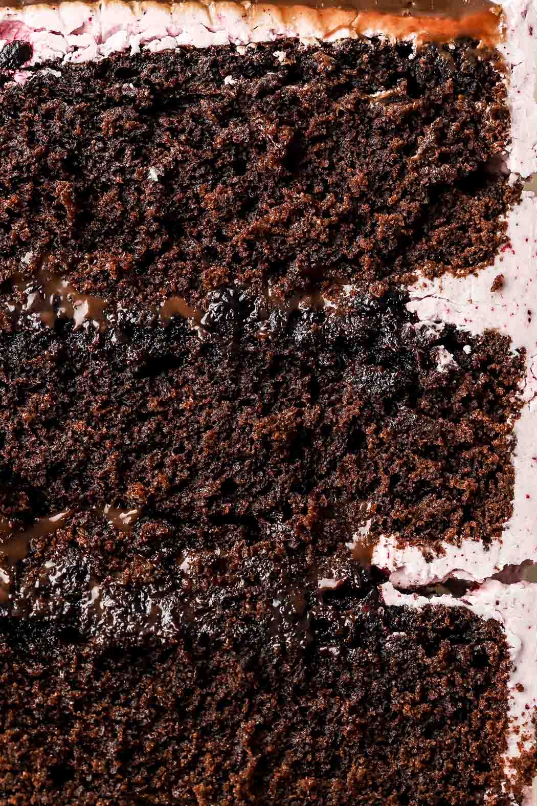 blueberry chocolate cake