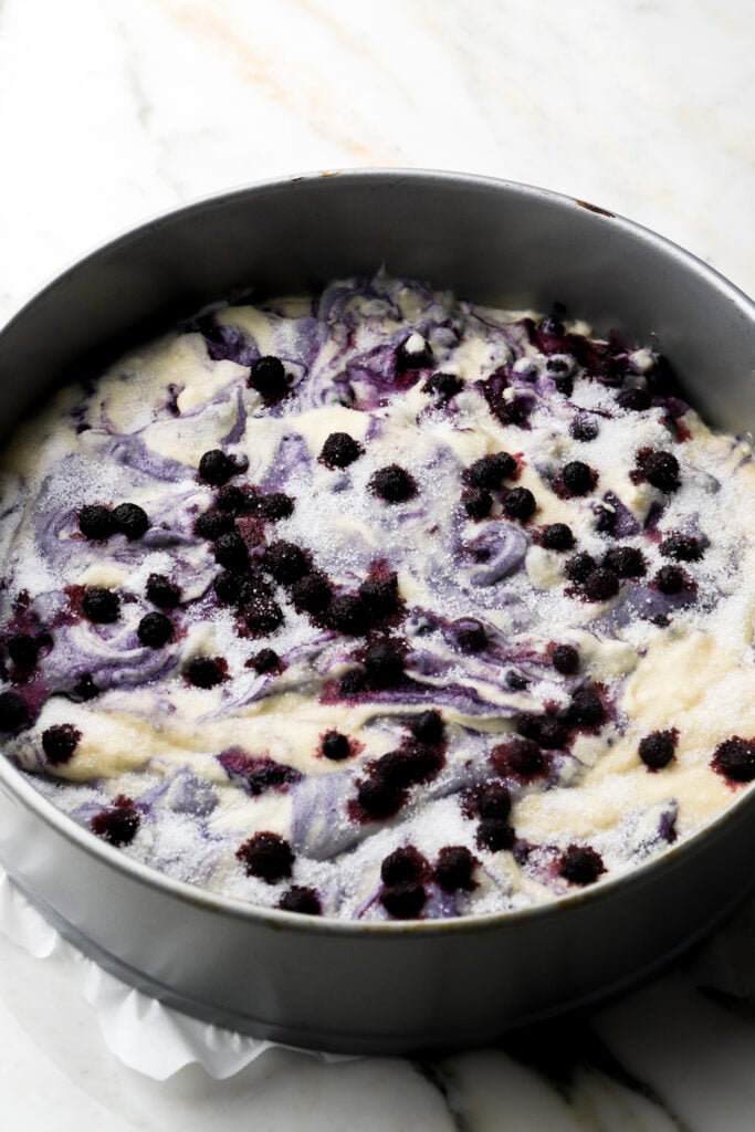 batter spread into cake pan and topped with blueberries and sugar