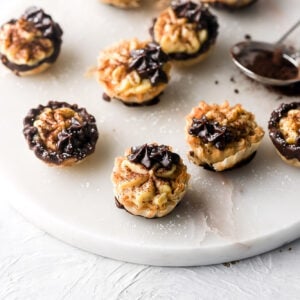 boston cream mini pies