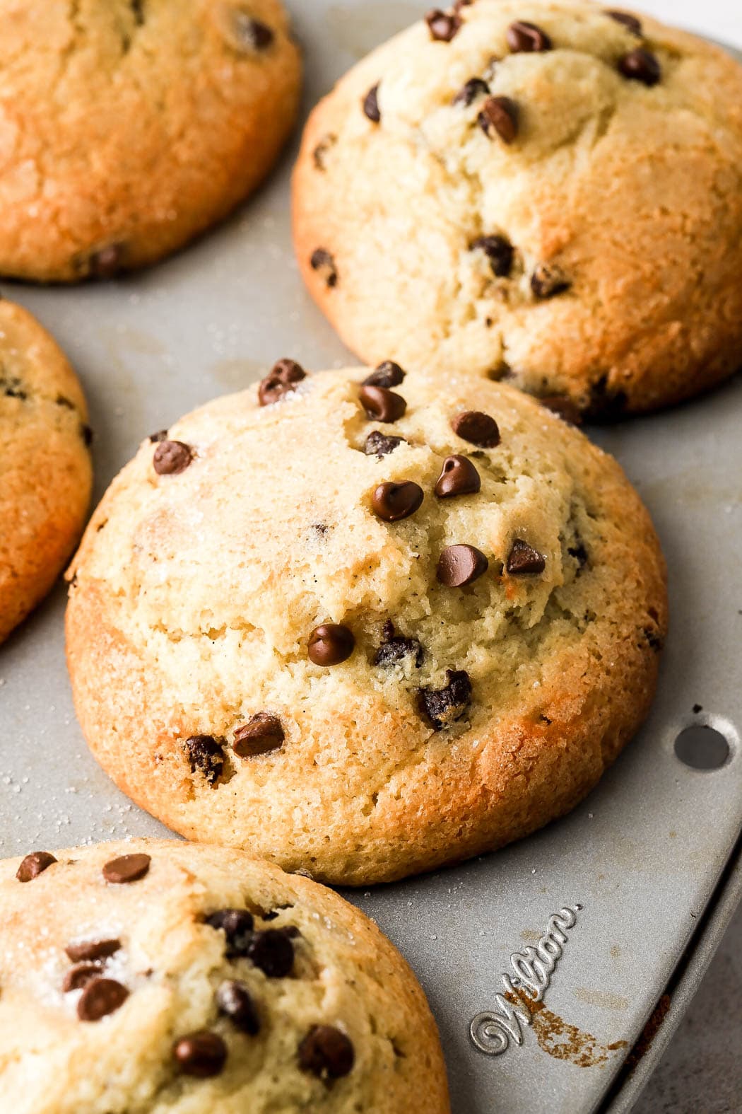 bakery style chocolate chip muffins