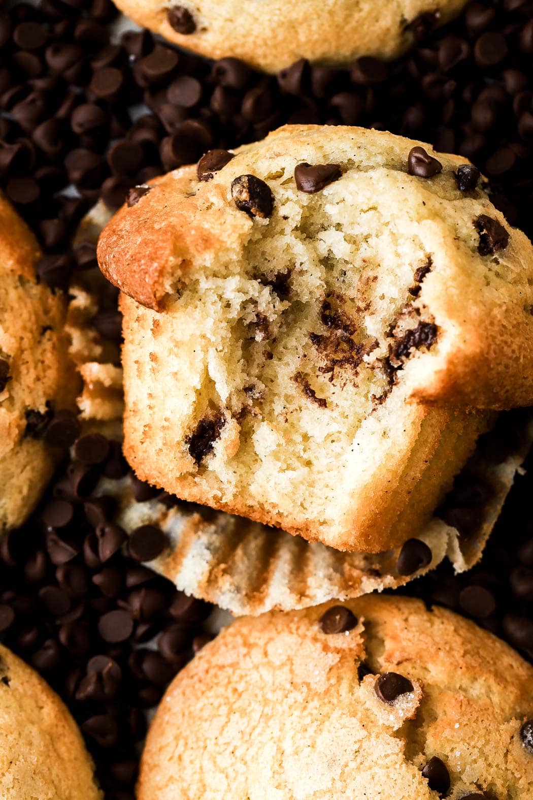 bite shot of a chocolate chip muffin