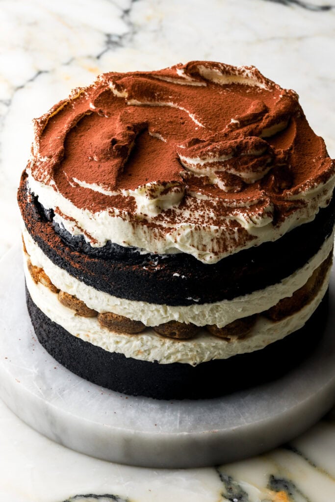 chocolate tiramisu cake dusted with cocoa powder