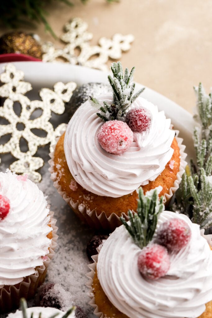 cranberry cupcakes with frosted cranberries