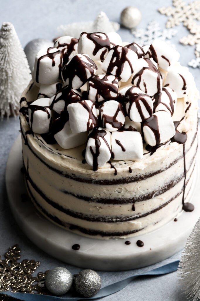 cake topped with marshmallows and chocolate sauce