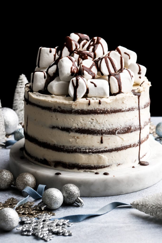 cake topped with marshmallows and chocolate sauce