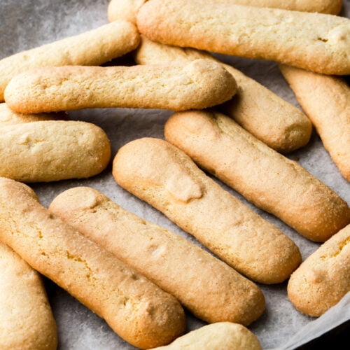 savoiardi biscuits/lady fingers in a tray