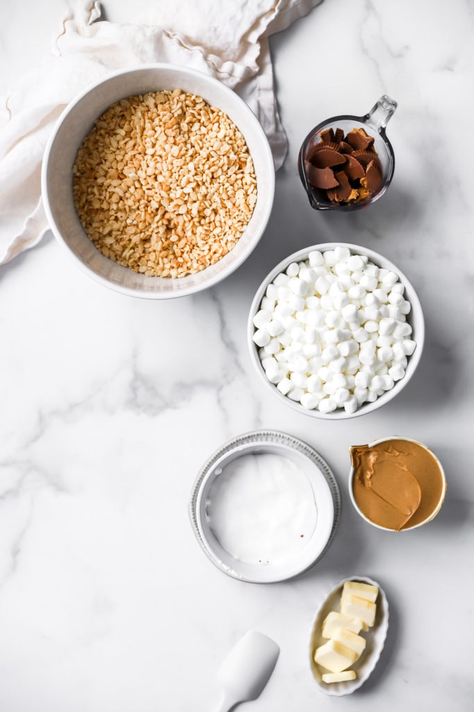 raw ingredients