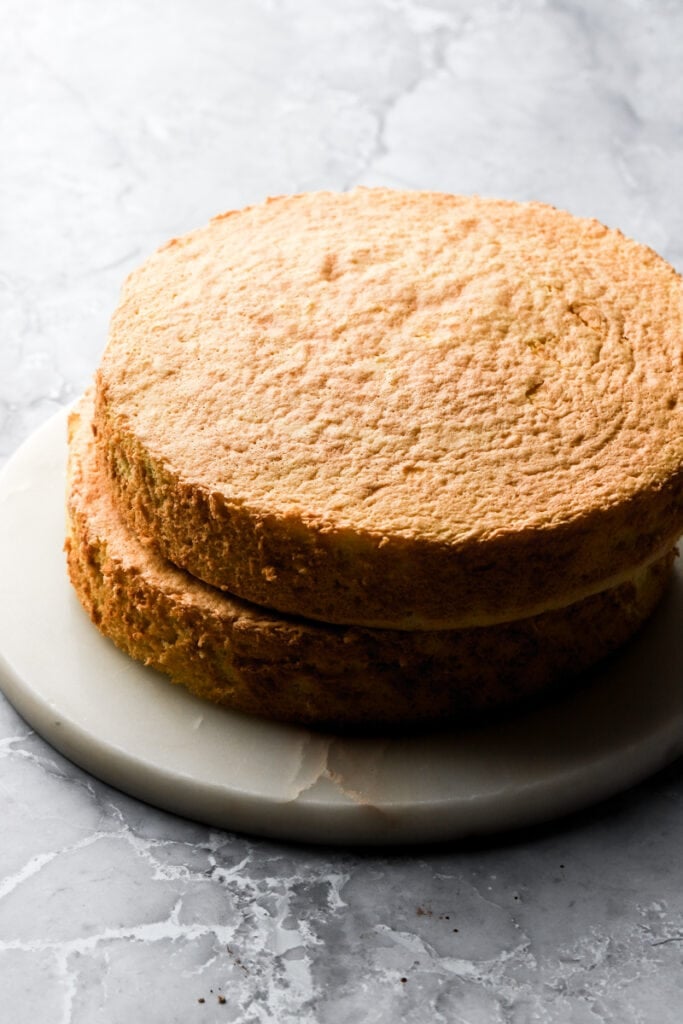 two thick layers of genoise stacked