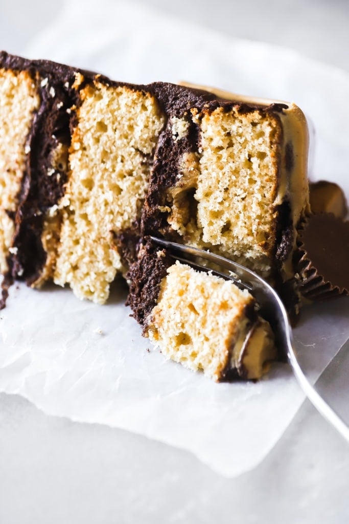 close up texture shot