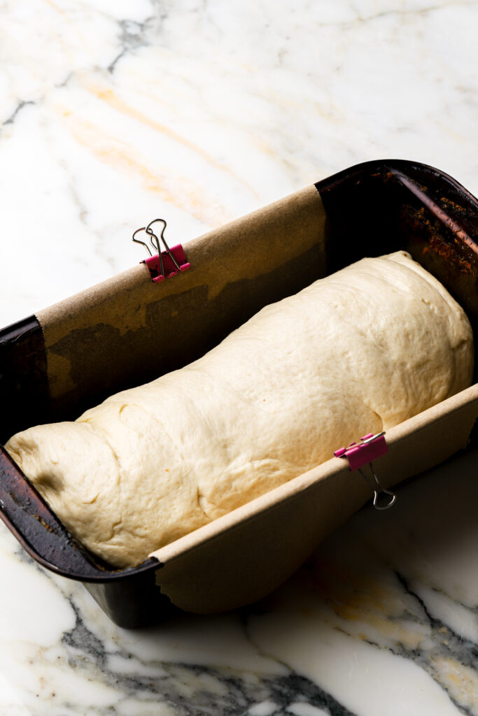 dough shaped in loaf pan