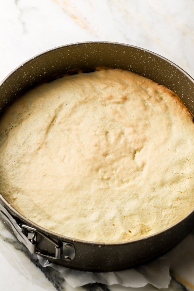 sponge finished baking