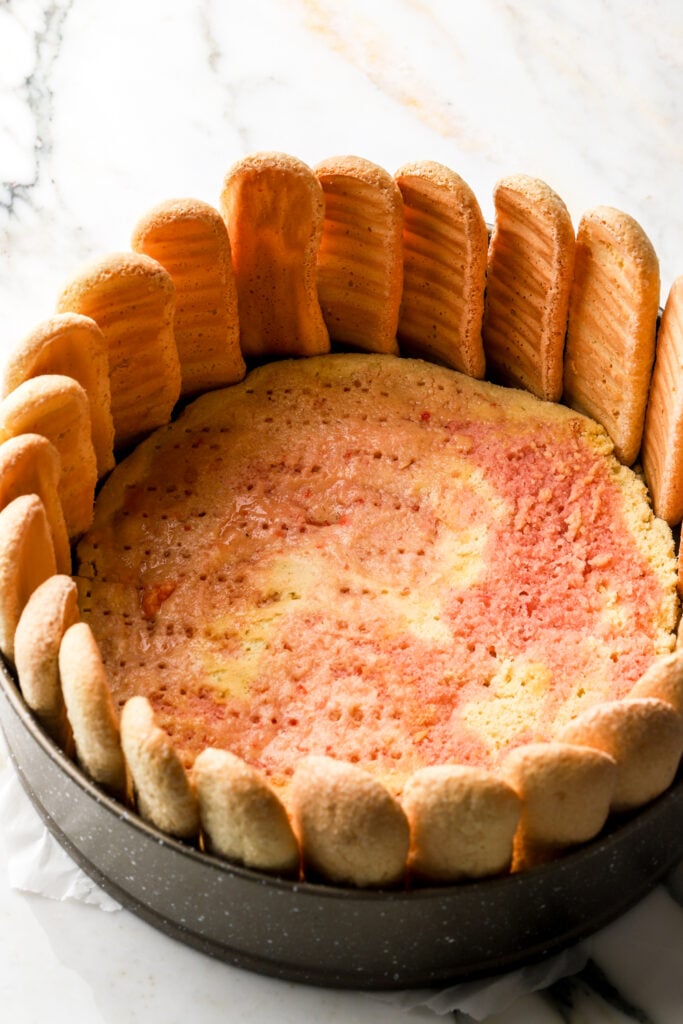 bottom layer of cake poked and soaked, lady fingers assembled