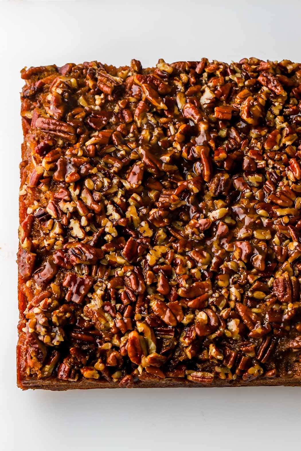 bake until the cake springs back when you press on it or toothpick comes out clean